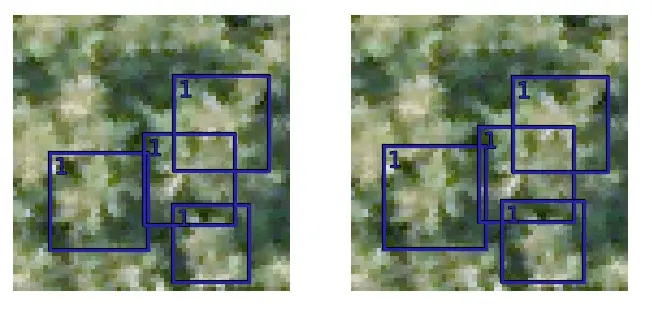 Coconut Palm Tree Detection in Samar Island using SkySat Imagery ...