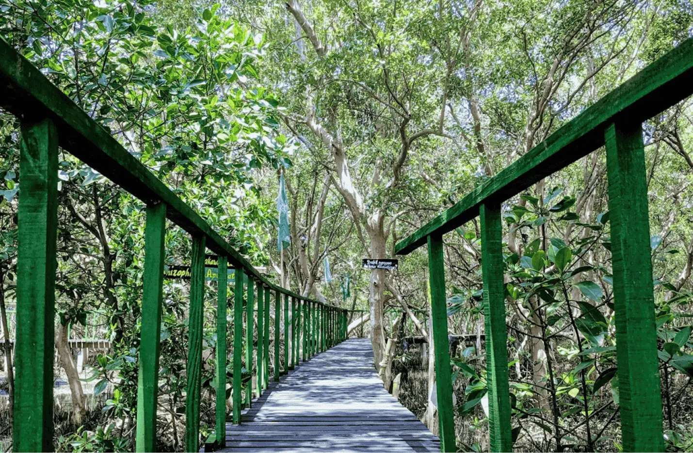Bulakan Mangrove Ecopark